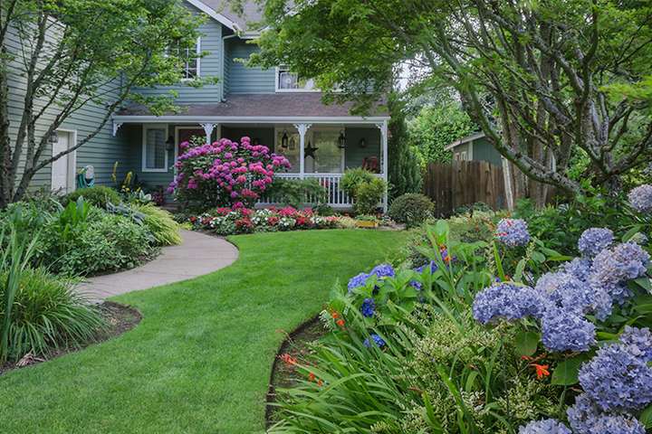 The Complete Guide to Gardening Services and Landscaping Solutions