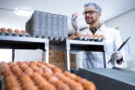 Essential Food Industry Equipment: A Beginner’s Guide to Smart Investments