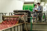 Step-by-Step Overview of Fruit Grading Machines in Modern Agriculture