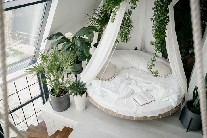 Minimalist Round Bed Frames: Explore Design Basics, Insights, and Practical Knowledge